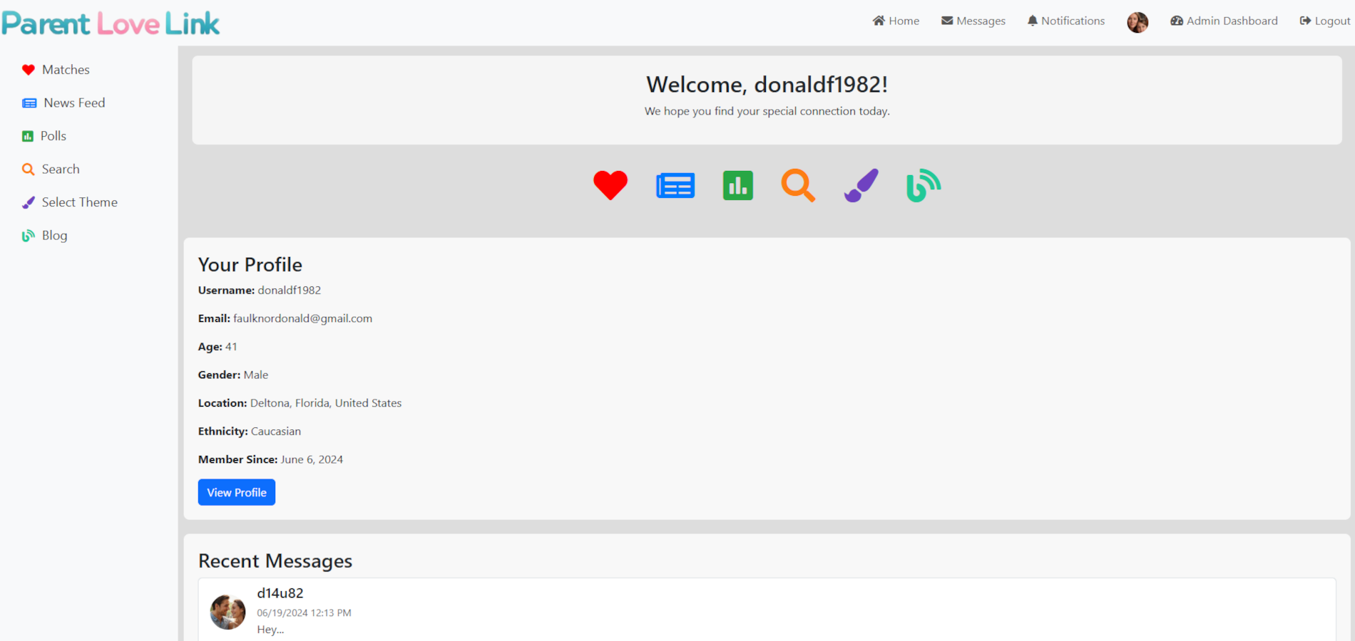 Homepage of Parent Love Link website featuring community features, profile matching, and family connection tools